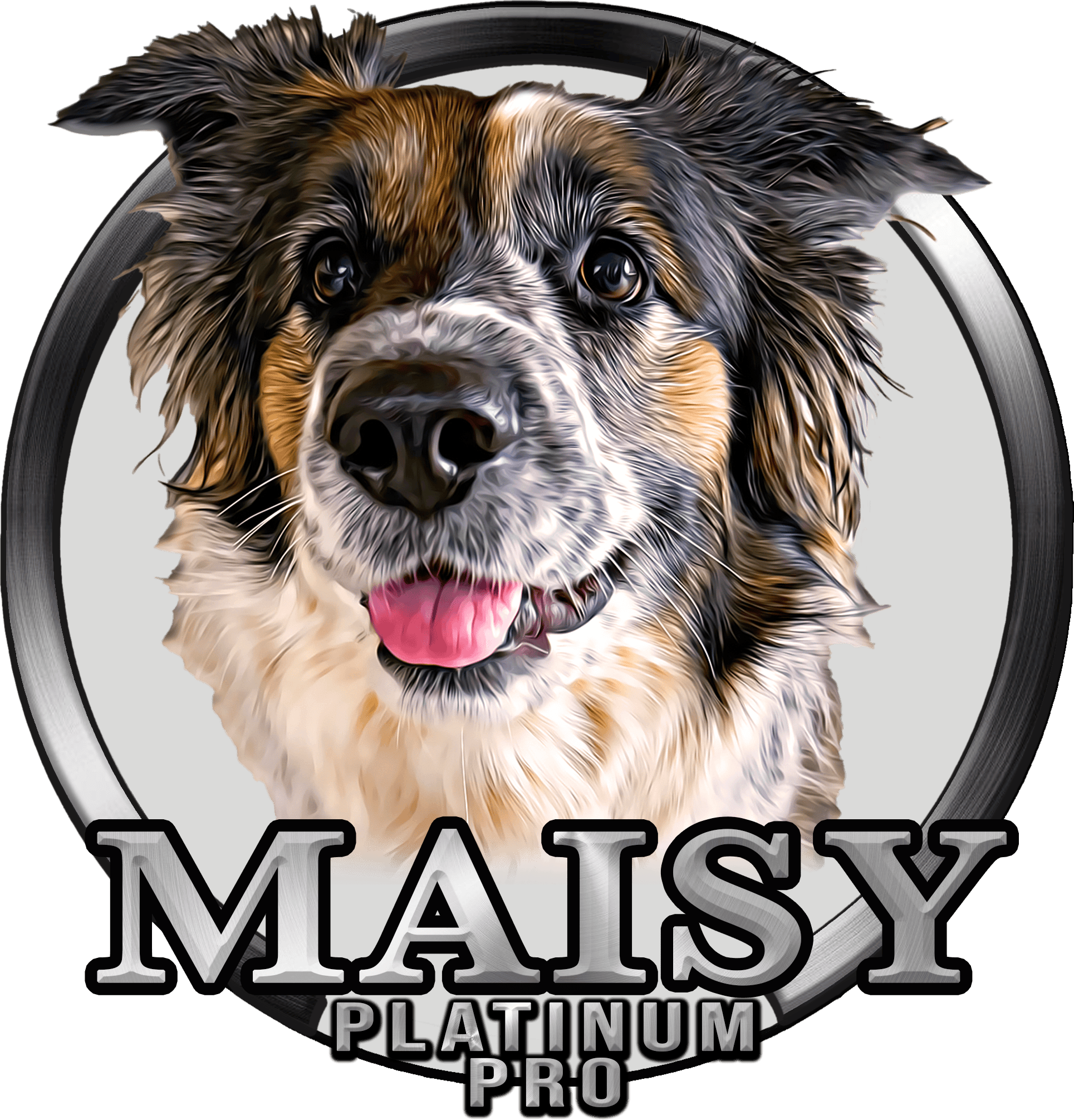 Illustrated dog logo with 'Maisy Platinum Pro' text.