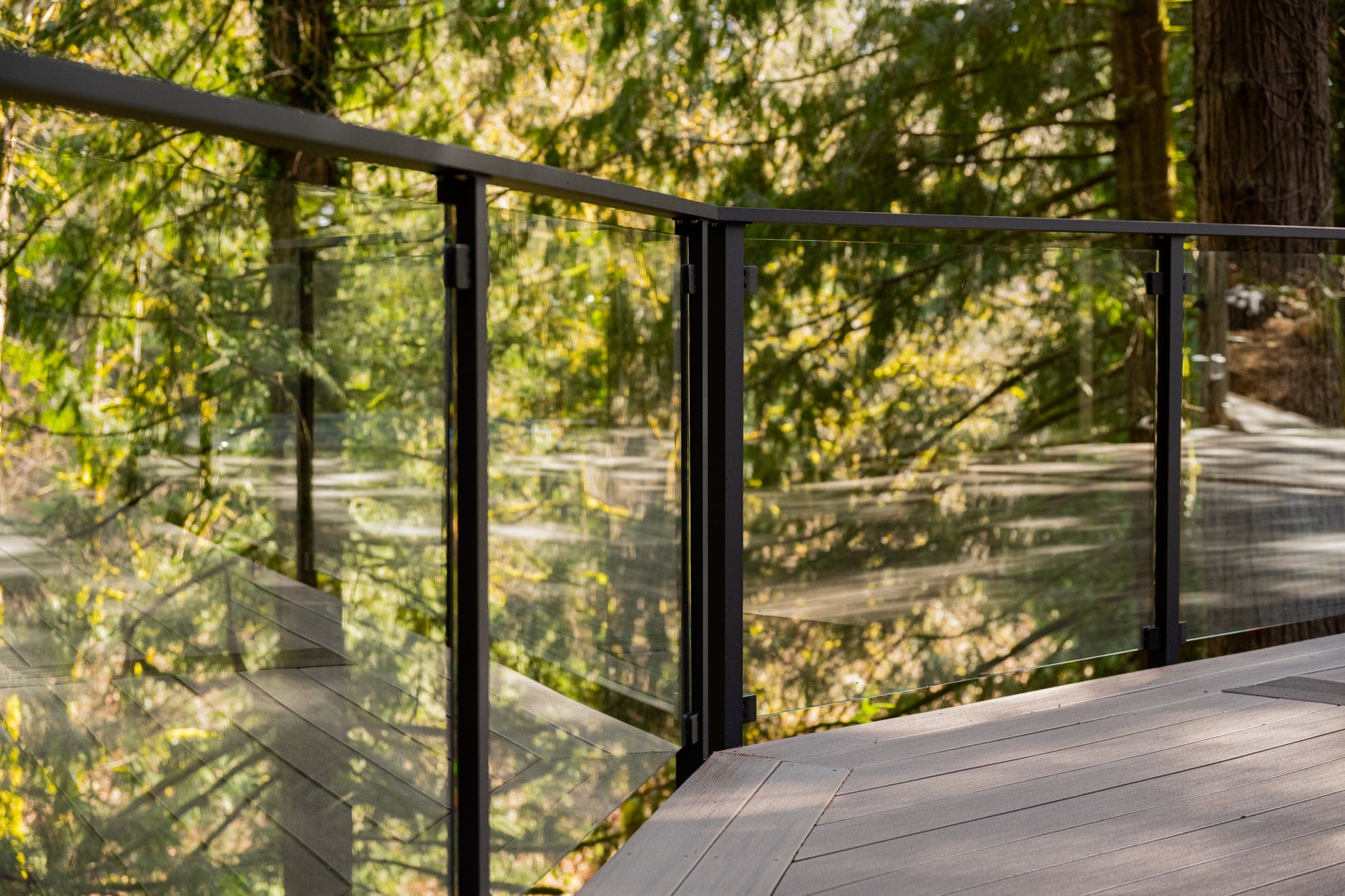 Modern glass railing on forest deck walkway