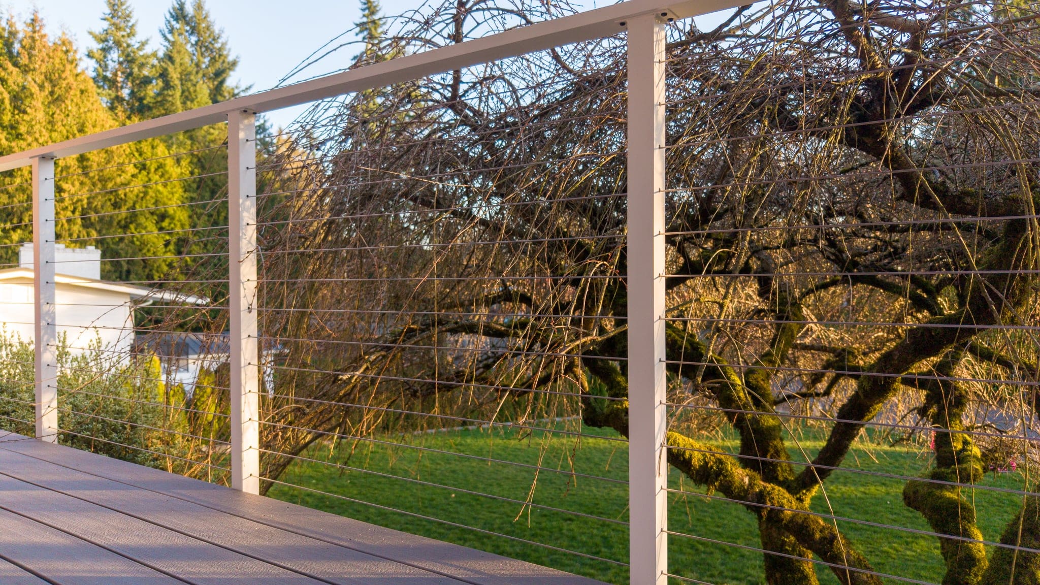 Modern deck railing overlooking mossy backyard tree