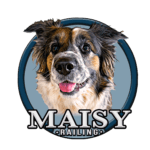 Illustration of a happy dog with text Maisy Railing.